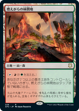 0229 【JP】 燃えがらの林間地/Cinder Glade AFC