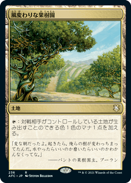 0236 【JP】 風変わりな果樹園/Exotic Orchard AFC