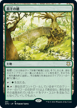 0251 【JP】 苔汁の橋/Mosswort Bridge AFC