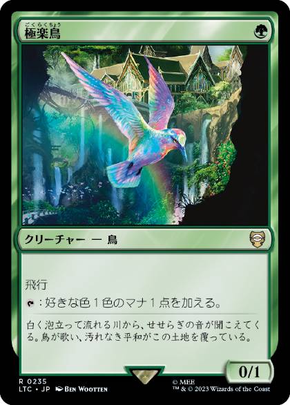 0235 【JP】 極楽鳥/Birds of Paradise LTC