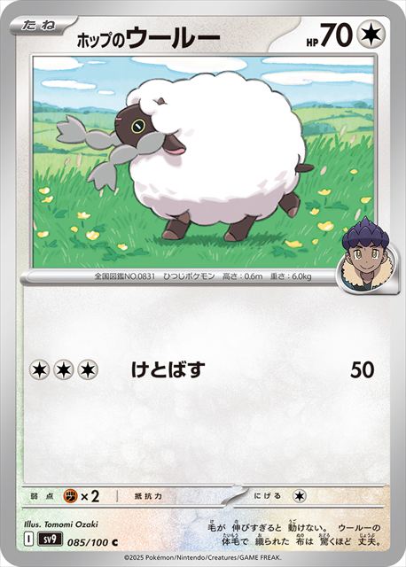 0085 【C】 ホップのウールー SV9