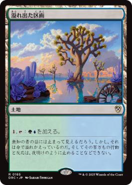 0165 【JP】 溢れ出た区画/Overflowing Basin DRC