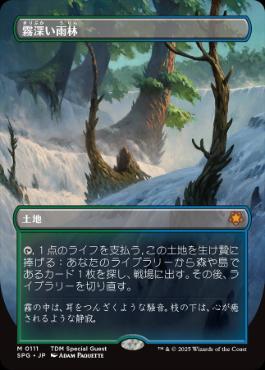 0111 【JP】 ■ボーダーレス■ 霧深い雨林/Misty Rainforest SPG