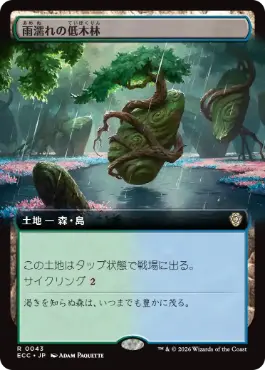 0043 【JP】 ■拡張アート■ 雨濡れの低木林/Rain-Slicked Copse ECC