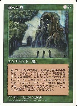 0329 【JP】 森の知恵/Sylvan Library 5ED