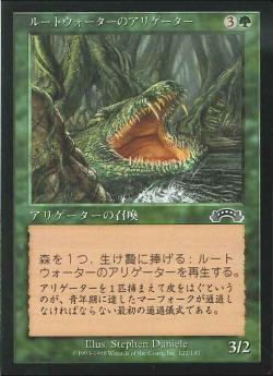 0122 【JP】 ルートウォーターのアリゲーター/Rootwater Alligator EXO