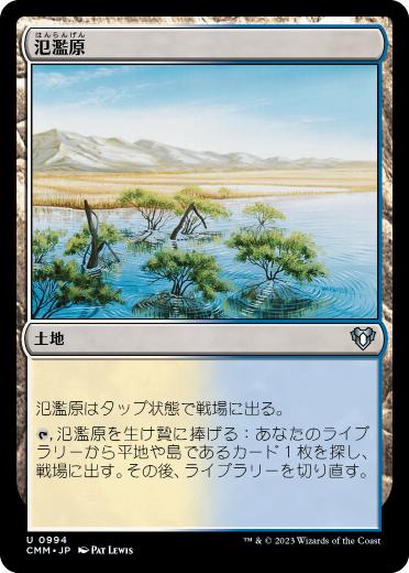 01021 【JP】 氾濫原/Flood Plain CMM
